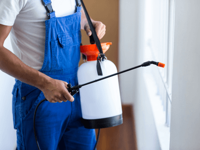 About Organic Pest Control Williams Bay - organic pest control experts in Williams Bay